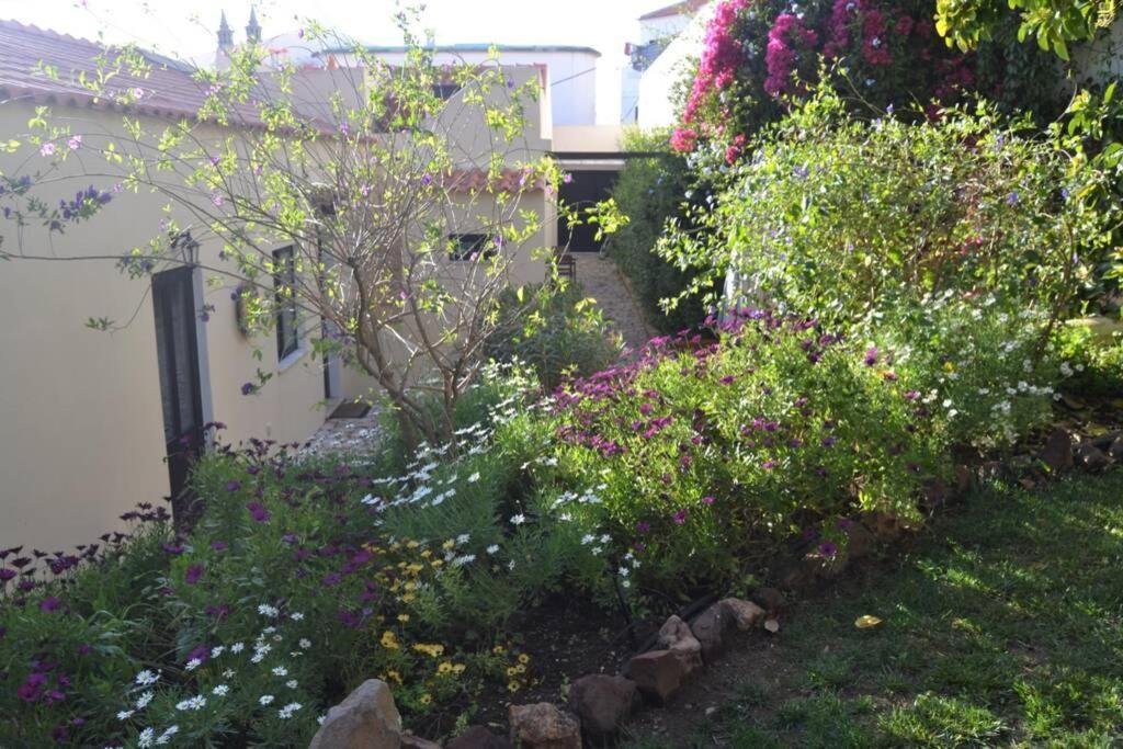 Garden In The City Силвес Екстериор снимка