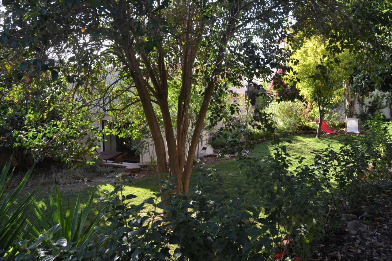 Garden In The City Силвес Екстериор снимка